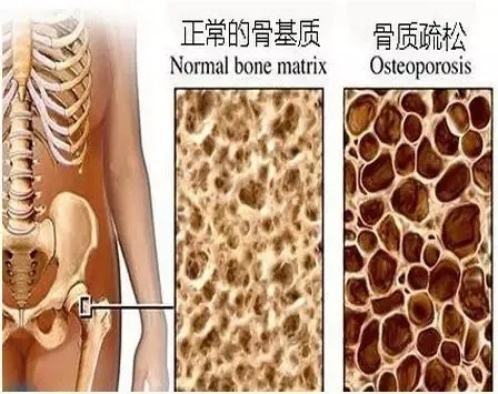 1609935485602444.jpg 640.webp (10).jpg