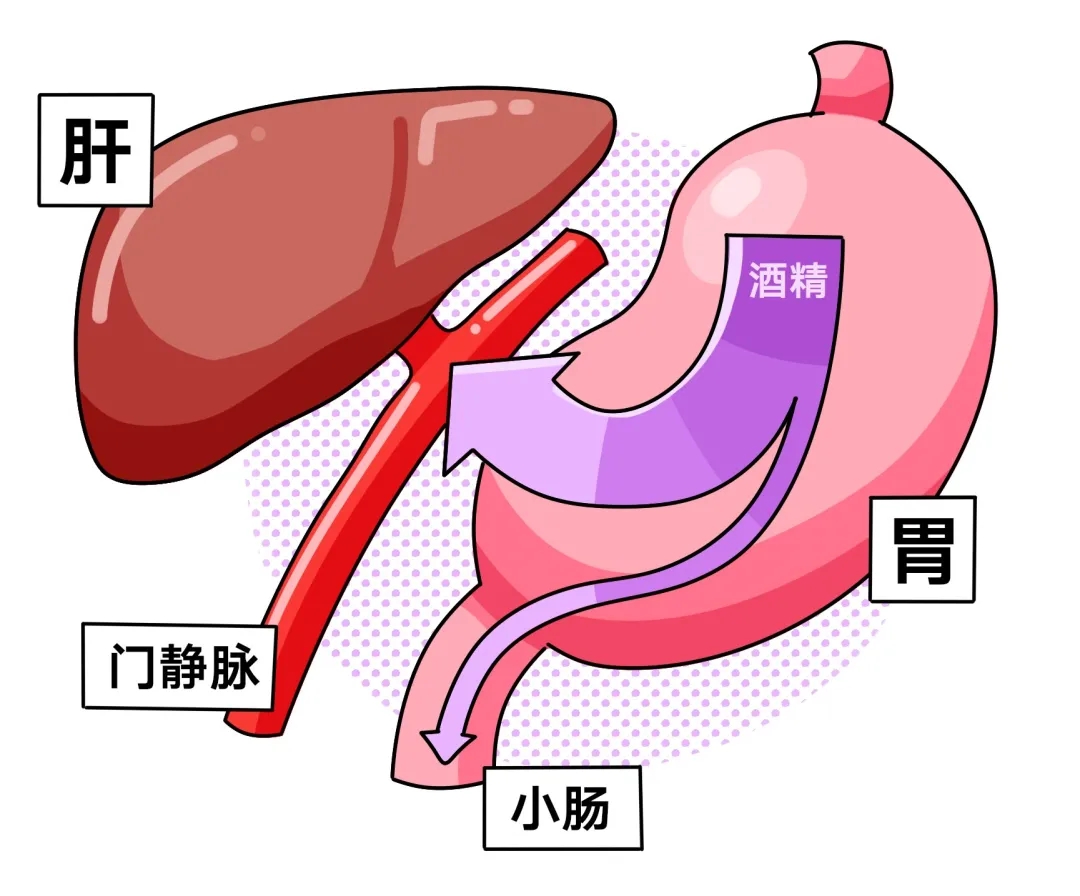 1618278169151687.jpg 1618278169151687.jpg