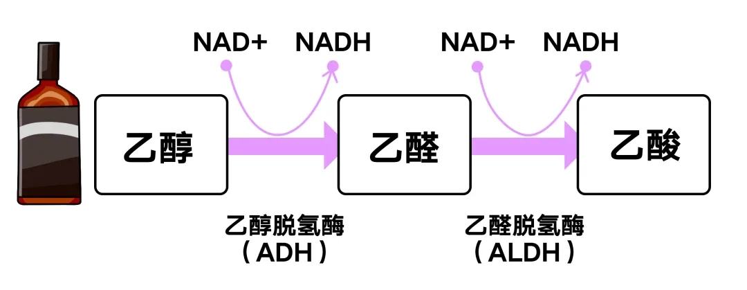 1618278261413535.jpg 1618278261413535.jpg