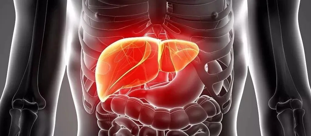 1618466961675512.jpg 1618466961675512.jpg