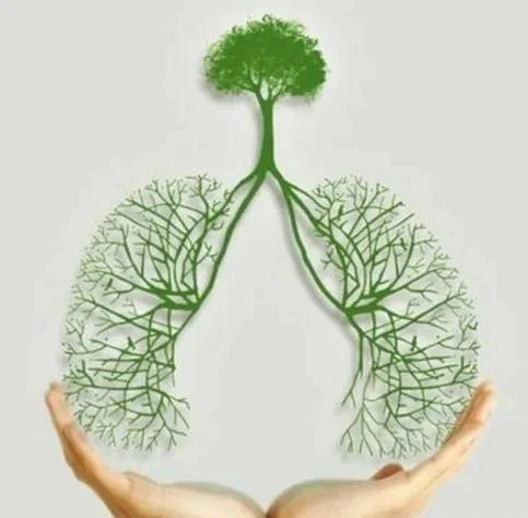 1618469285992140.jpg 1618469285992140.jpg