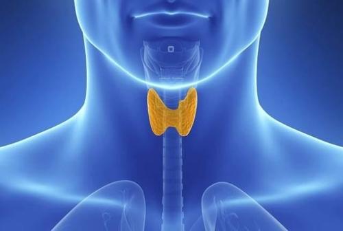 1621215415115307.jpg 1621215415115307.jpg