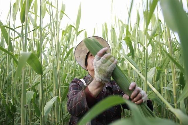 1623811436740921.jpg 1623811436740921.jpg