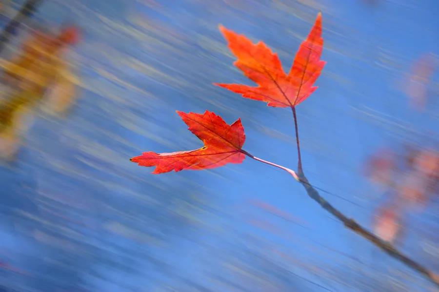 1635735925119318.jpg 1635735925119318.jpg