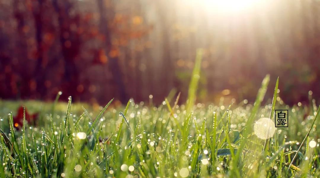 1635746066116000.jpg 1635746066116000.jpg