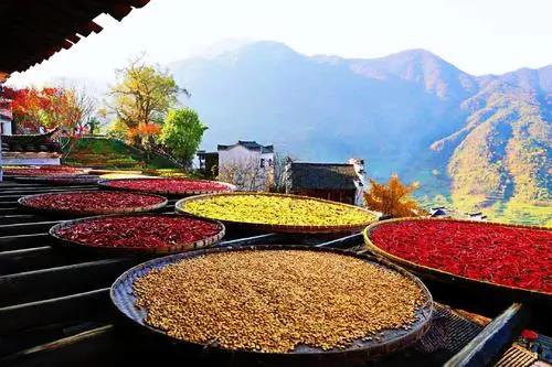 1635755973139014.jpg 1635755973139014.jpg