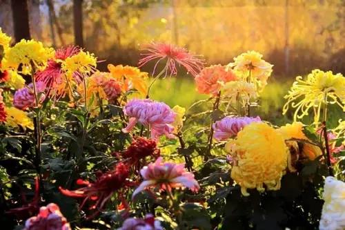 1635756028271358.jpg 1635756028271358.jpg