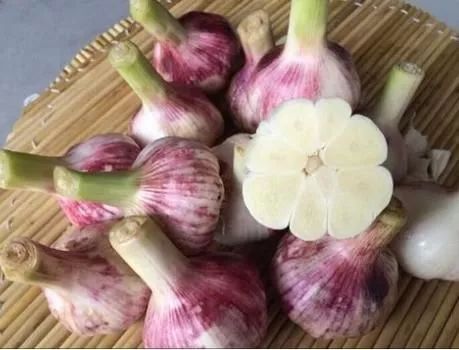 1675664084140929.jpg 1.jpg