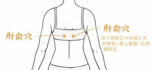 1677138503128578.png 22.png