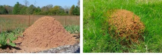 1680573025100388.png 11.png