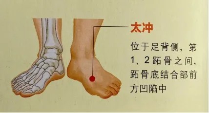 1732503565104408.jpg 2.jpg