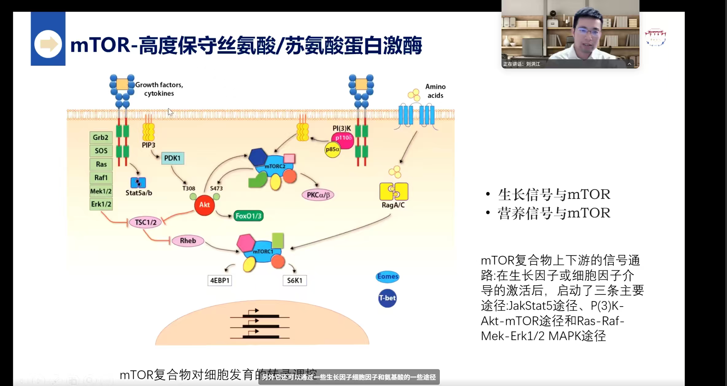 1764031558137555.png 4fee648d6fd6fb04cfecd895034fda33.png