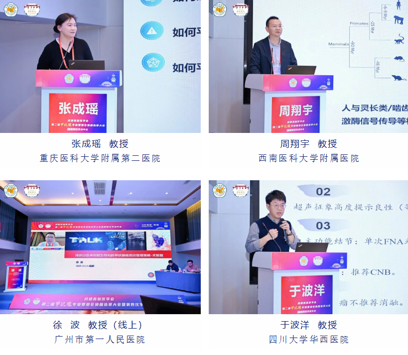 1766388075135692.png 719fffa1-02bd-45f1-914f-9227844e2a38.png