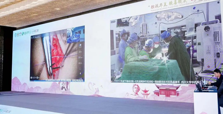 1756712086170405.png image.png